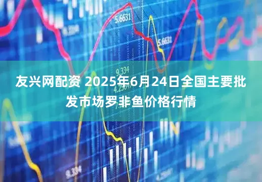 友兴网配资 2025年6月24日全国主要批发市场罗非鱼价格行情