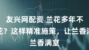 友兴网配资 兰花多年不开花？这样精准施策，让兰香满室